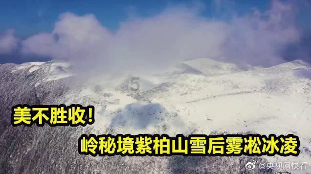 新熊出没找不同